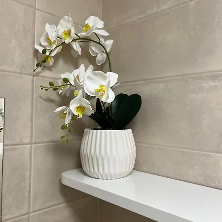 Harmonie - Modern Near Center With Free Private Parking Appartement *