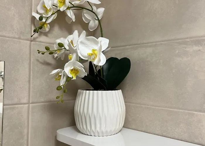 Harmonie - Modern Near Center With Free Private Parking アパート *