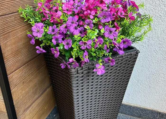 Harmonie - Modern Near Center With Free Private Parking